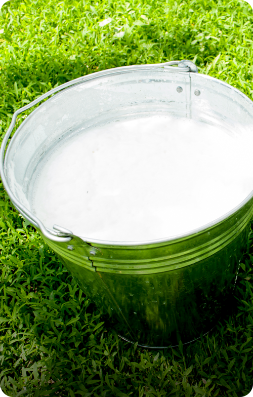 Bowl of milk representing dairy used in Nutella production on white background.