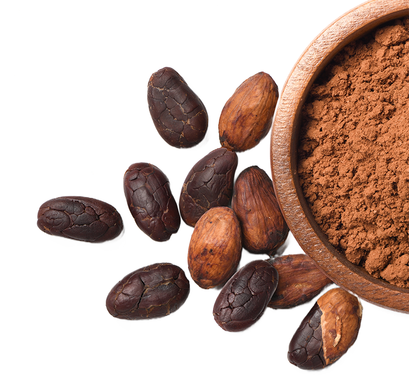 Cocoa