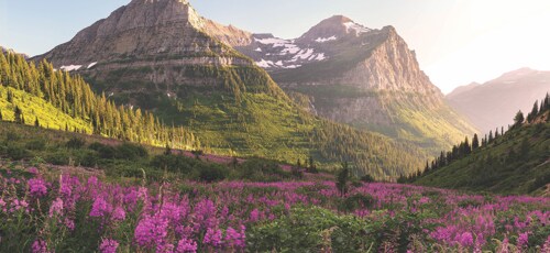 Glacier-park-background