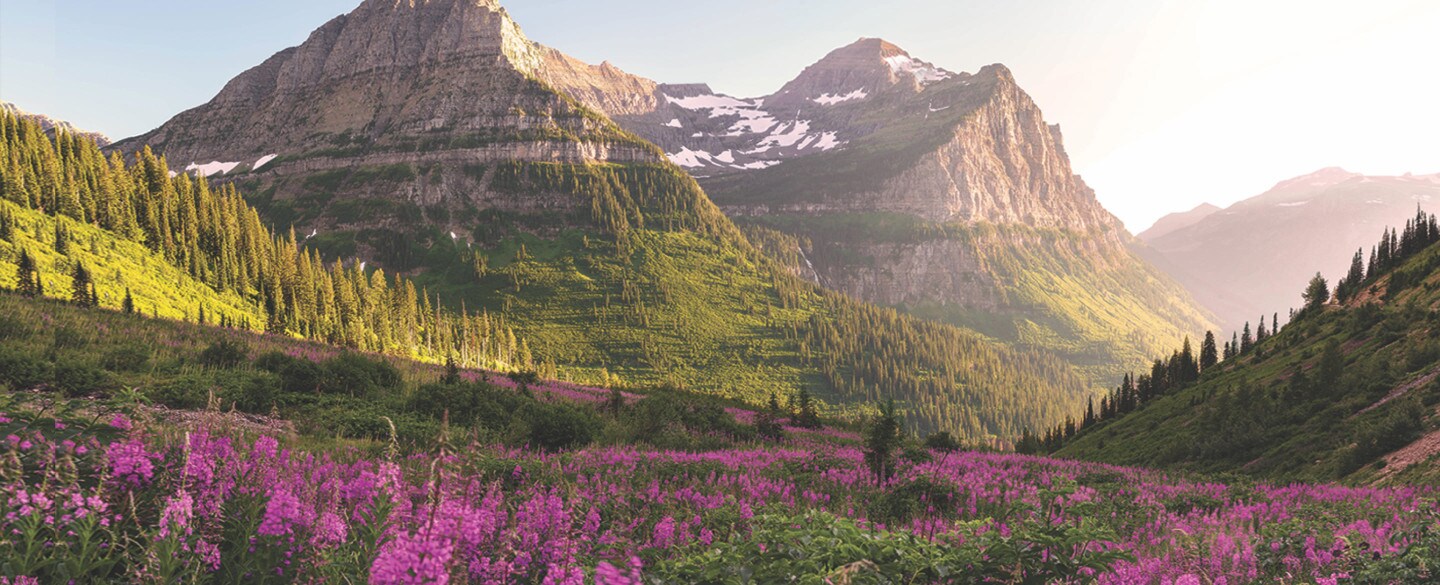 Breakfast in Glacier Park, MT
