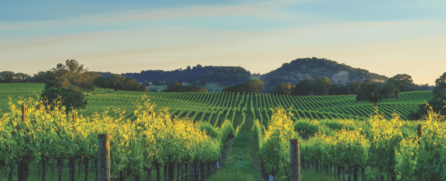 Breakfast in Napa Valley, CA