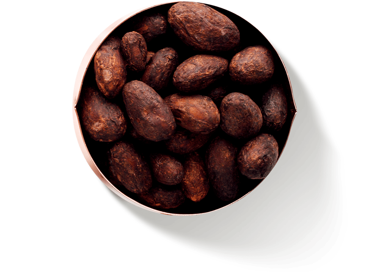 Cocoa Beans Bowl | Nutella