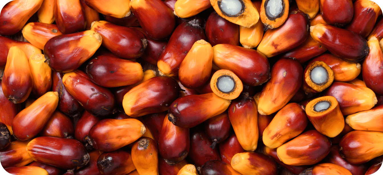 palm-oil