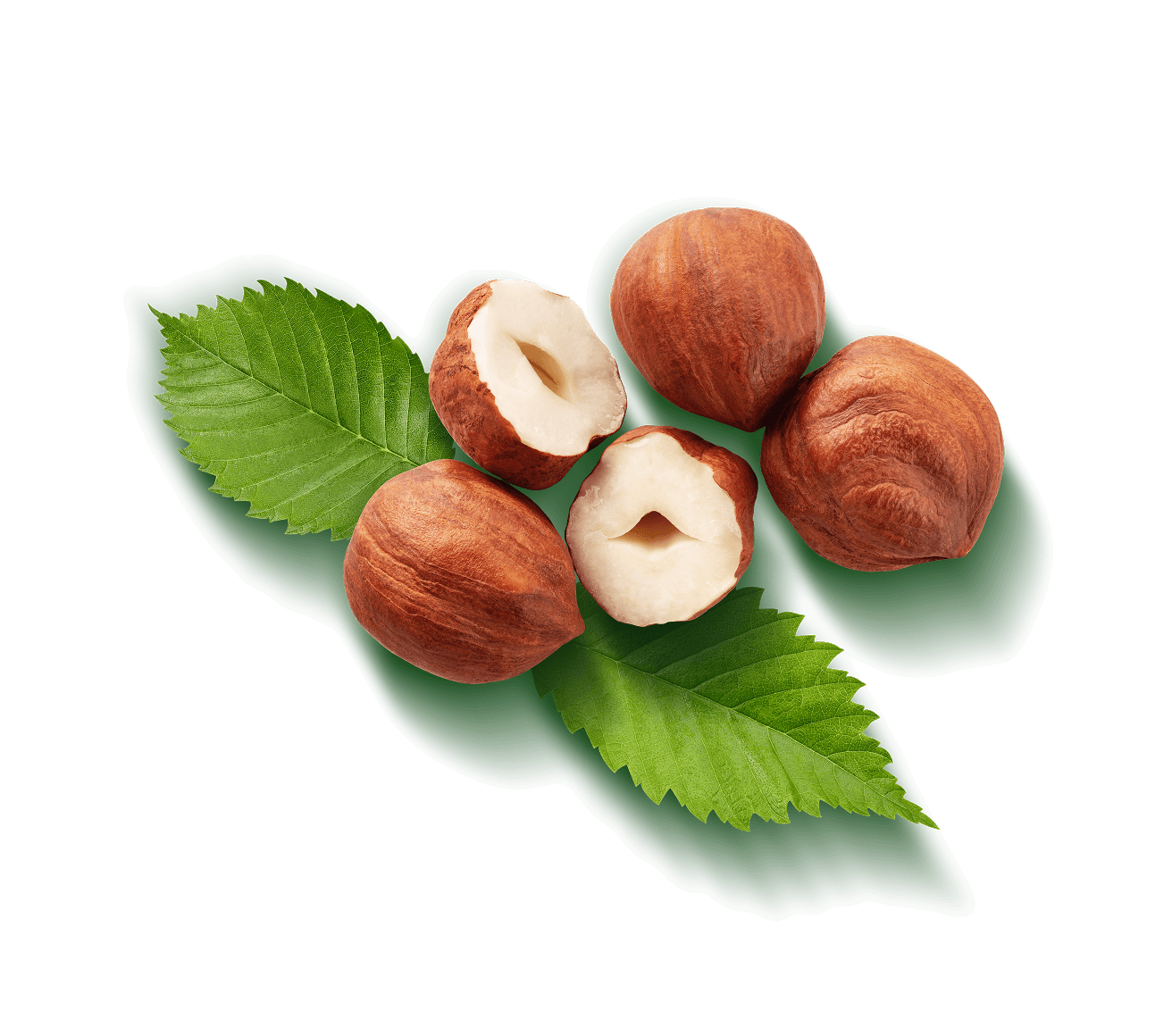 hazelnuts