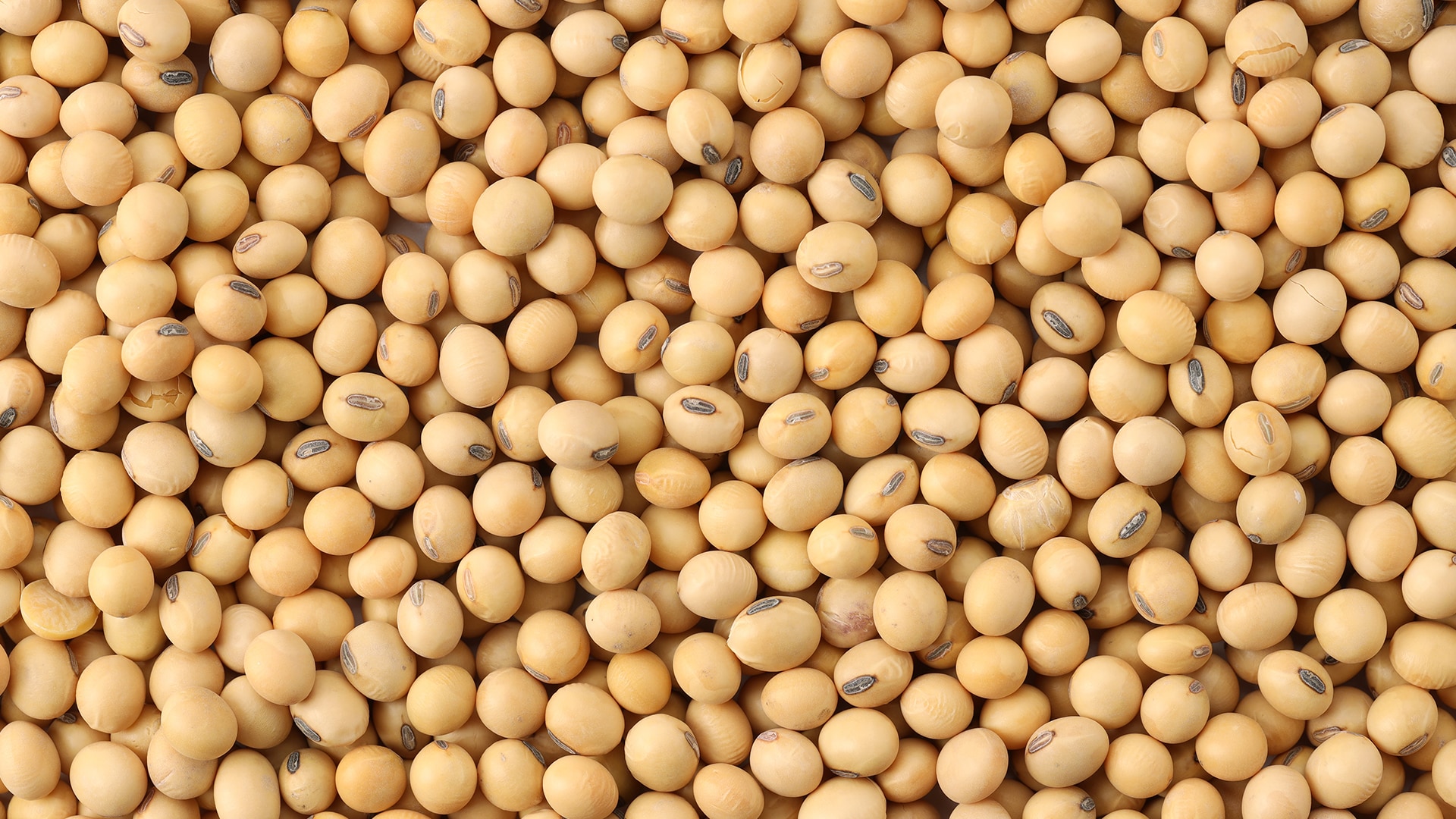 Lecithin_16x9
