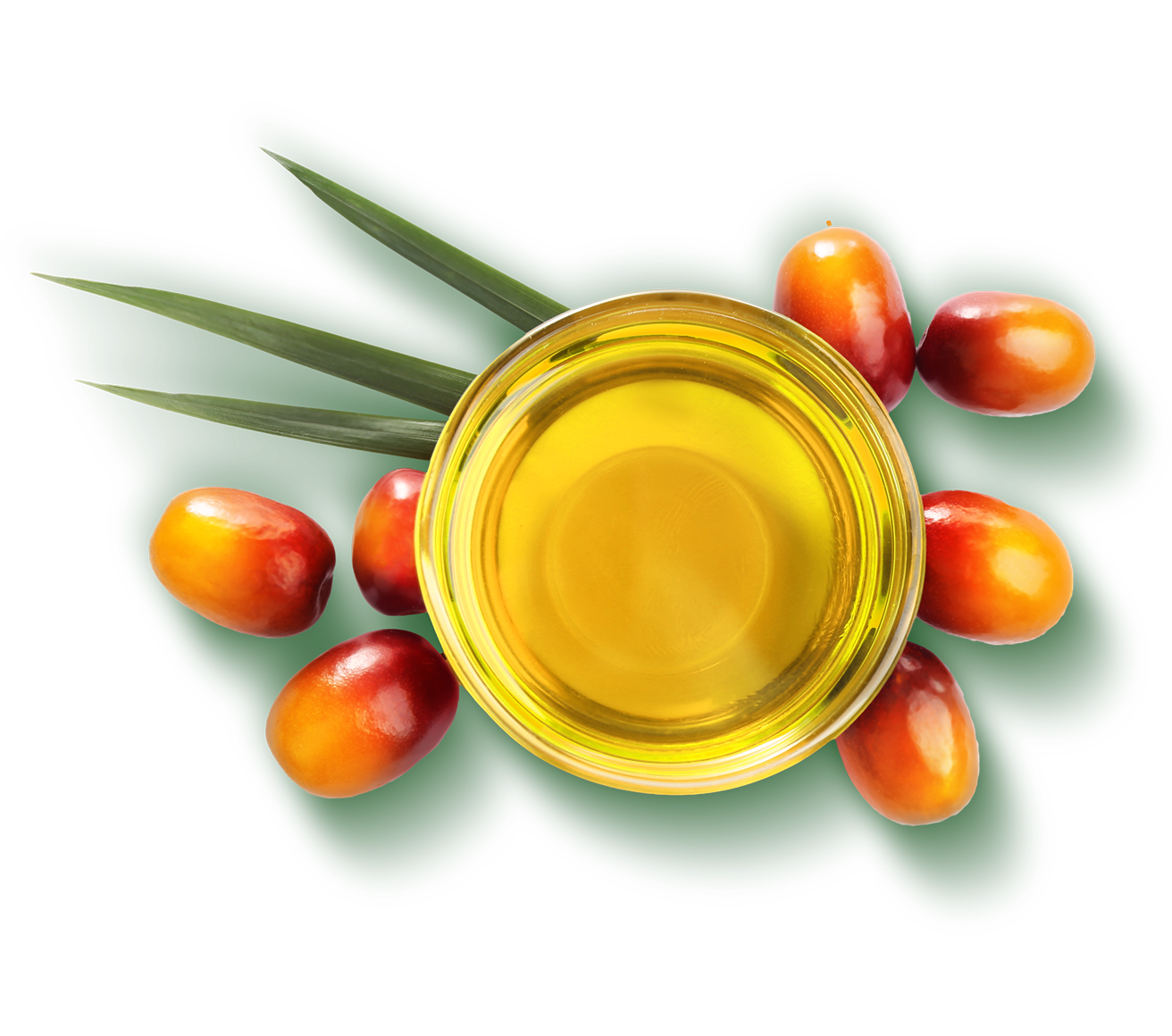 palm-oil