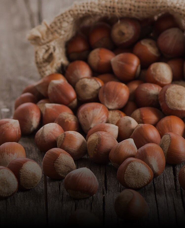 Nutella Hazelnuts | Nutella