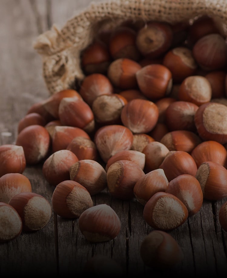 Nutella Hazelnuts | Nutella