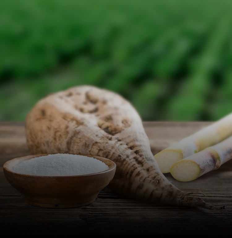 Ingredients Sugar Beet Cane | Nutella