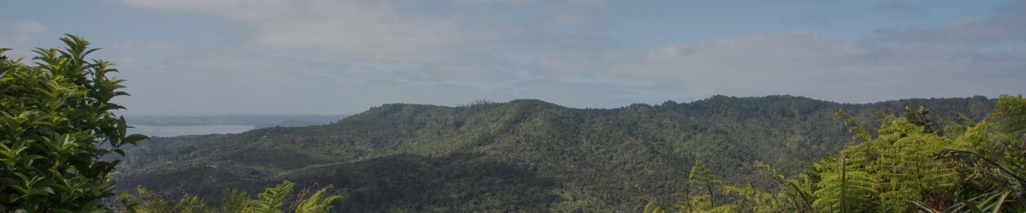 Discover Sustainability | Nutella