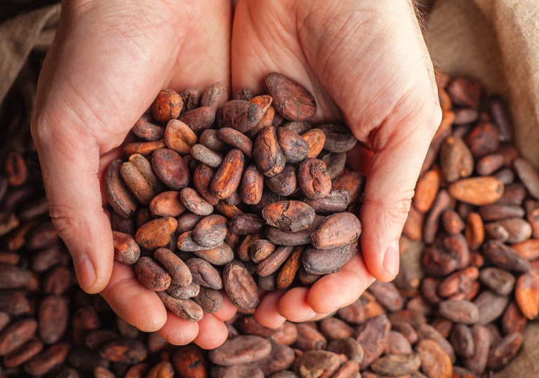 image_01-cocoa
