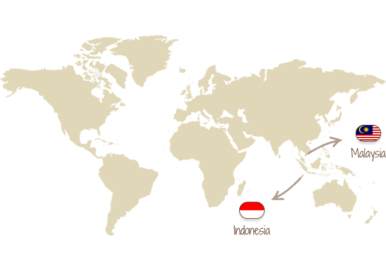 image_01-traceability-palm-oil