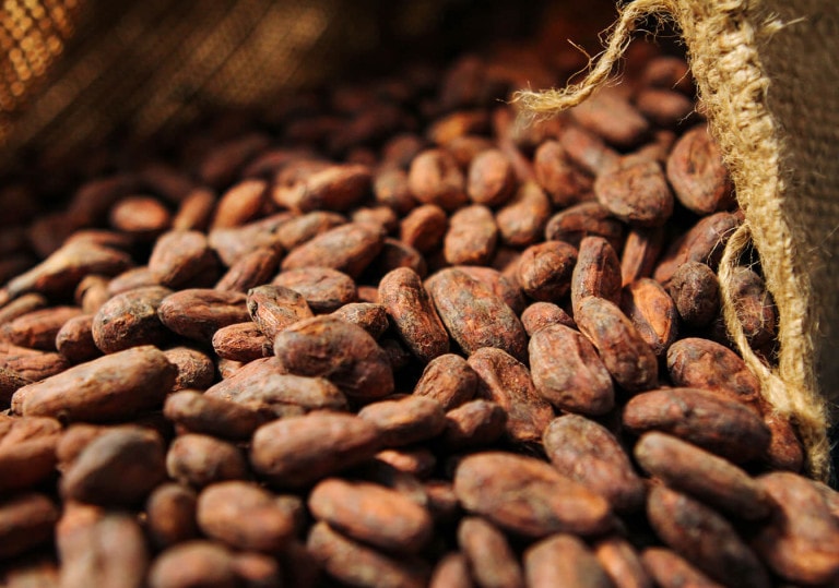 image_02-cocoa