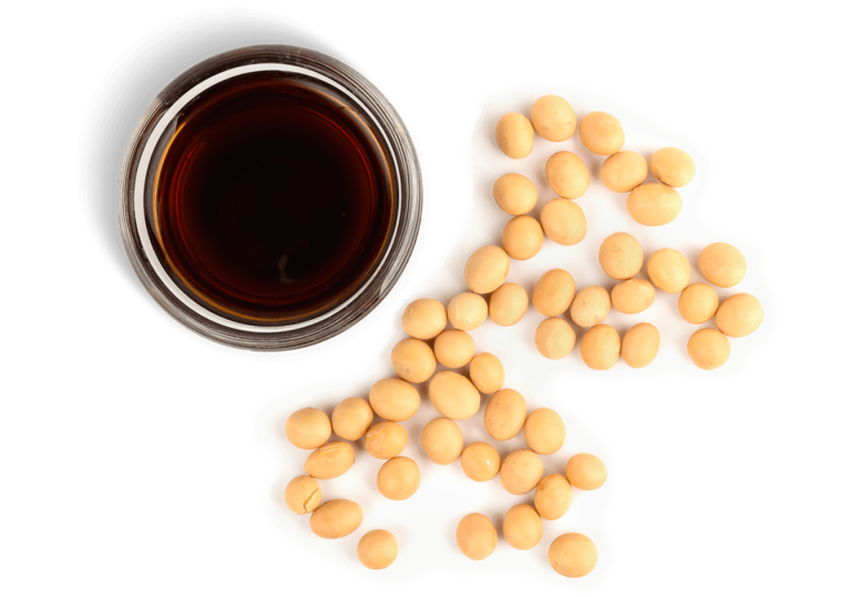 image_02-lecithin