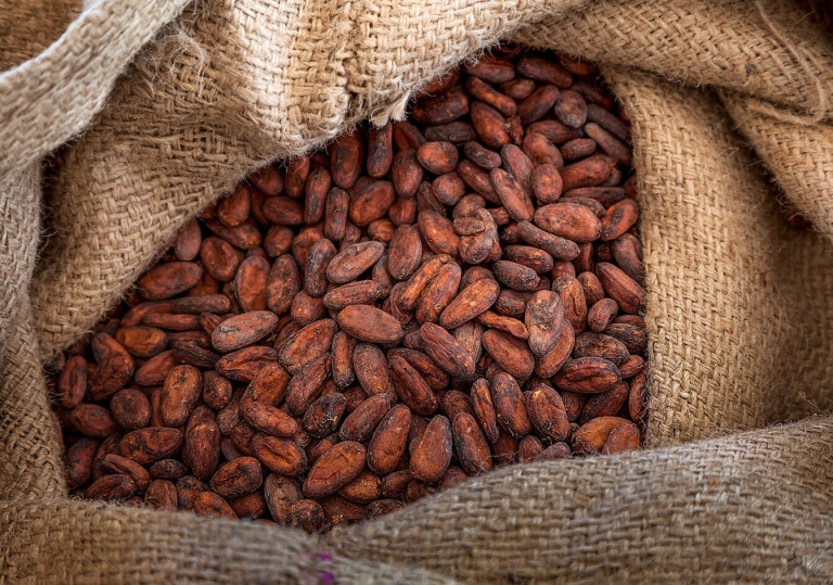 image_03-cocoa