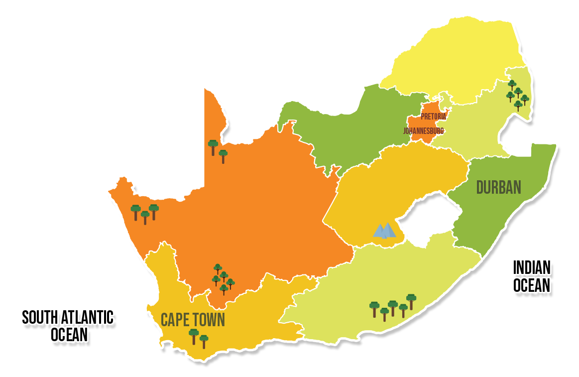 Summer Map