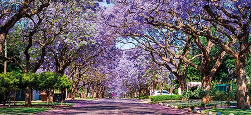 Pretoria - Pannekoek / Pancakes