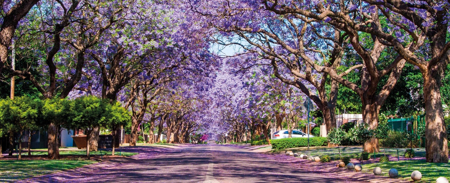 Pretoria - Pannekoek / Pancakes