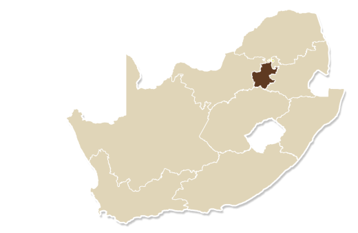 Pretoria - Pannekoek / Pancakes